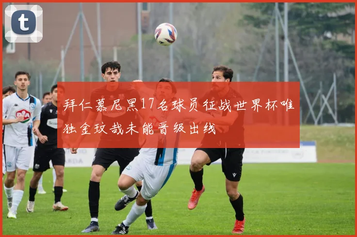 拜仁慕尼黑17名球员征战世界杯唯独金玟哉未能晋级出线